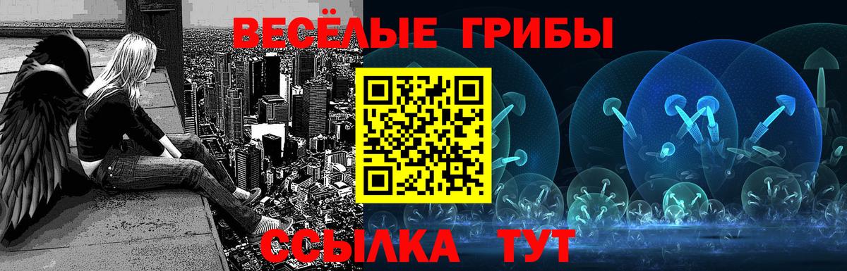 Псилоцибиновые грибы мицелий  Псилоцибиновые грибы мицелий  Муравленко  Вход с VPN 